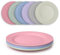 JSYMJSY Teller Set, 6Teilig 25cm Speiseteller Bruchfest, Plastik Essteller Mehrweg, Camping Teller Anti-Fallen, Leicht, Kunststoff BPA-Frei Mikrowellenfest Spülmaschinenfest, Bunt