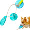 NafuFreedom Dog Toys for Chewers Suction Cup Dog Toy Tug of War Chew Toys for Teething Interactive Puppy Teething Toys for Small Large Dogs Tug Toy Slipper