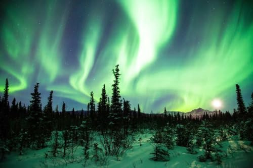 Jigsaw Puzzle 1000 Pieces Northern Lights or Aurora Borealis Alaska Photo Family Fun Jigsaws Puzzles 1000 Pieces for Adults Gifts Challenging Puzzle Games