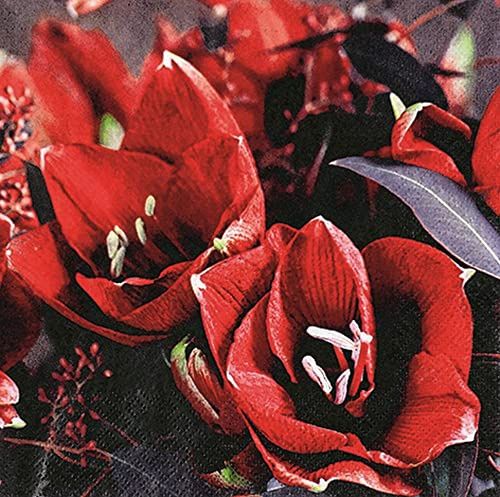 20 Servietten Kr?ftige Amaryllis | Blumen | Winter | Weihnachten | Tischdeko | Decoupage | Serviettentechnik 33x33cm