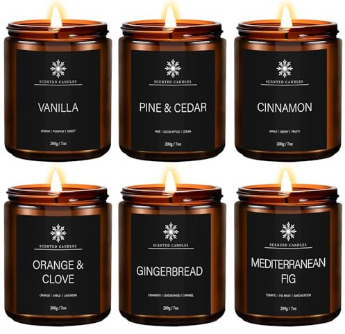 Duftkerze im Glas 6 Düft, Kerzen Geschenke für Männer Frauen 1200 g,6Pcs Duftkerzen Geschenkset,Natürliches Sojawachs Duftkerze Set für Valentinstag,Bad Spa Meditation,Geburtstagsgeschenk