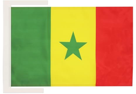BANDERA de SENEGAL 45x30cm - BANDERINA SENEGALESA 30 x 45 cm cordeles - AZ FLAG