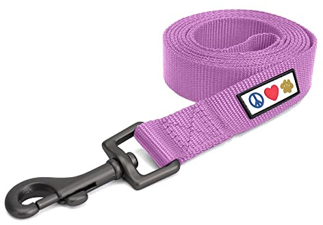 Pawtitas Solid 6 ft Orchid Dog Leash XS/S Custom Name and Phone Embroidery Strong Nylon Leash for Small Breeds