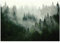 WallArena - Vlies Fototapete Wald Nebel Landschaft Grün Natur Bäume 208x146 cm - Fototapeten - Tapeten - für Wohnzimmer Schlafzimmer - Vliestapete Wandtapete Tapete 3D Effekt- inkl. Kleister