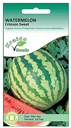 Watermelon Seeds Crimson Sweet Citrullus Lanatus 20 Seeds Grow Your Own Vegetables Ideal for Growing in Raised Beds Greenhouse Polytunnel or Cold Frames