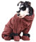 ACSUZ Hundebademang Mit Beinen Super Absorbierende Voll Bedeckte Haustier Bademantel Reißverschluss Rücken Schnell Trocknende Badezubehör,Braun,L