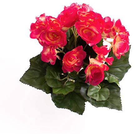 artplants.de Begonia Artificial con 27 Hojas, 9 Flores, Fucsia, 20cm, Ø 20cm - Planta Decorativa - Flores Artificiales