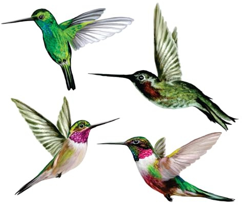 Window Flakes 4-Pack Hummingbird Bird Strike Prevention Window Clings