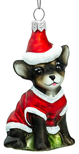 SIKORA BS721 Chihuahua mit Weihnachtsmütze Christbaumschmuck Glas Figur Weihnachtsbaum Anhänger - Premium Line, Variante:braun - rot