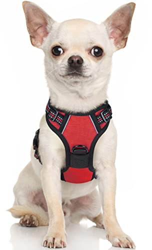 rabbitgoo Hundegeschirr Kleine Hunde, Anti Zug Geschirr mit Kontrolle, No Pull Verstellbar Hundegeschirr Grosse Hunde, Atmungsaktiv Reflexstreifen Brustgeschirr Sichere Führung Rot XS