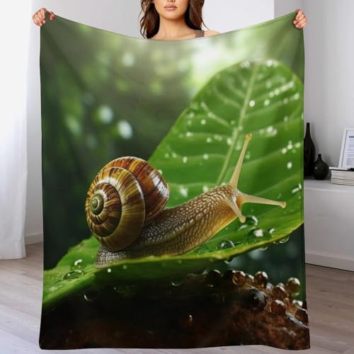 Schnecken Flannel Fleece Wohndecken Kuscheldecken, Superweiche, Flauschige, Warme Mikrofaser Decke Für Schlafcouch, (150×200cm)