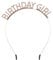 Xthrotsenk Birthday Girl Headband Rose Gold Happy Birthday Headbands Rhinestone Birthday Headpiece Happy Birthday Party Decorations for Women Girls