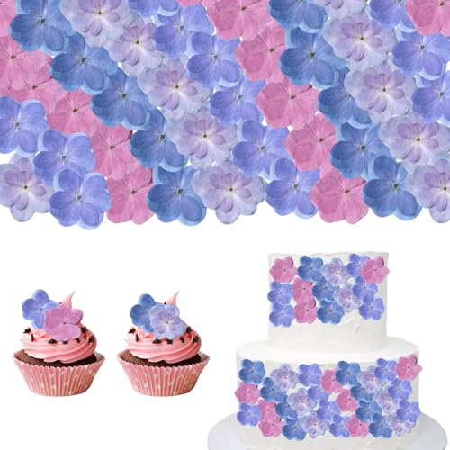 CENCERY 60 Pezzi Fiori Secchi Decorativi, Ortensie a Doppio Petalo, Fiori Naturali per Decorazione Torte, Cupcake, Matrimoni, Compleanni e Feste