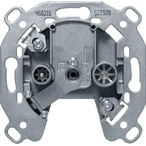 Berker 450210