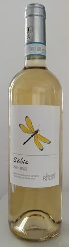 Roero Arneis docg 2022 senza solfiti aggiunti conf da 2 bottiglie | vino senza solfiti aggiunti, uva Arneis in purezza