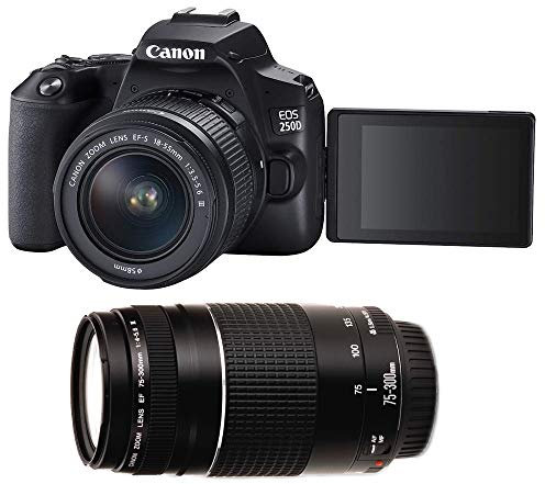 Canon Lustrzanka Canon EOS 250D + 18-55mm + 75-300mm