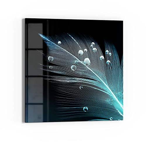 DEQORI Glasbild Echtglas | Motiv Feder mit Wasserperlen | quadratisch einteilig 50x50 cm | schöne Dekoration | Wandbild für Wohnzimmer, Schlafzimmer, Flur & Küche | moderne Wanddeko