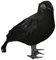Guirca Rabe schwarz Halloween 25 cm Farbe 1