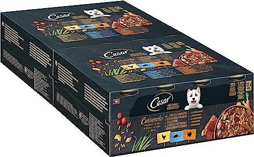 CESAR NATURAL GOODNESS Hundenassfutter in der Dose Casserole in Sauce mit Huhn, mit Fisch, mit Truthahn und mit Vollkorn und Superfoods, 2 x 12 x 400g