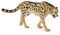 Collecta – 3388608 – Figur – Wildtiere – König Cheetah