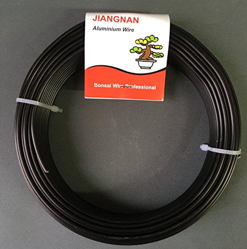 Jiangnan, Fil anodisé pour bonsaï, rouleau de 500 g de 3 mm