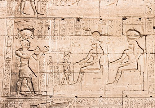 wandmotiv24 Fototapete Mauer des Tempels von Hathor bei Dendera, XXL 400 x 280 cm - 8 Teile, Wanddeko, Wandbild, Wandtapete, Ägypten, Zeichnung M0826