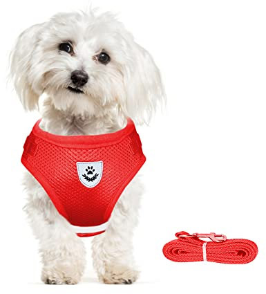 meioro Hundegeschirr mit Leine-Reflektierend Weich Gepolstert Hunde Geschirr-Atmungsaktiv Verstellbare Brustgeschirr für Kleine Mittelgroße Welpen Katzen-Schwarz Weste (Rot, M-Brust:35-40cm)