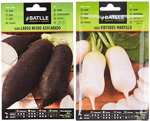Semillas Batlle Nabo largo negro azucarado & Nabo Virtudes - Martillo muy precoz