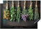 KitchenYeah© Herdabdeckplatte Einteilig Küche Ceranfeld Abdeckplatte Cerankochfeld Abdeckung Induktionskochfeld Schutzmatte Pflanzen - Holz - Blumen - Trocknen - 76x51 cm
