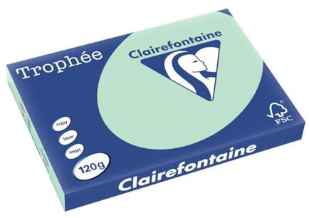 Clairefontaine 1376C - Ries Druckerpapier / Kopierpapier Trophee, Pastell Farben, DIN A3, 120g, 250 Blatt, Grün, 1 Ries