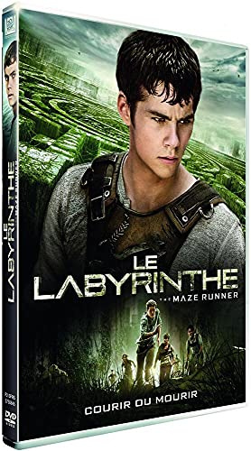 Le labyrinthe [FR Import]