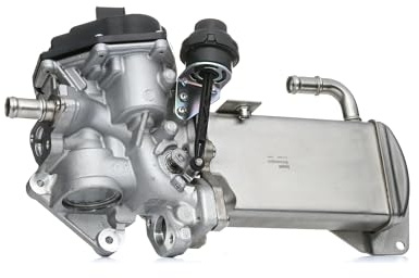 Delphi Technologies EG10584-12B1 AGR-Ventil