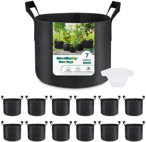 GreatBuddy Lot de 12 sacs de culture, pots en tissu épais de 20 litres pour plantes, poignées robustes et coutures renforcées, étiquettes incluses, noir