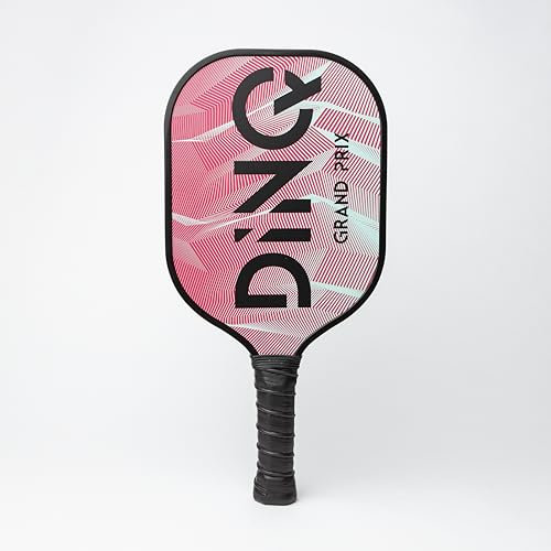 DINQ Pickleball Paddle Grand Prix: Fibra DE Vidrio, Construcción Liviana, Mangos de EVA, Textura Antideslizante, Ideal para practicantes y Principiantes. Economía, Fiber Glass (Rosa)