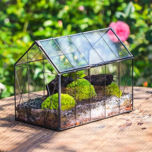 NCYP Terrario geométrico de Vidrio con Tapa para suculentas, Cactus pequeños, Caja Transparente Cerrada Hecha a Mano, 24x14x18,5 cm (Solo terrario, sin Plantas)