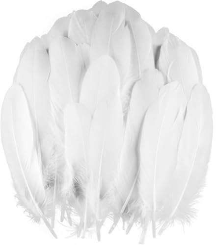 Feather for Crafts, 50 Pcs 6-8inch Colorful Feathers for DIY Crafts, Gift Box Fillers, Wedding, Party, Decorations