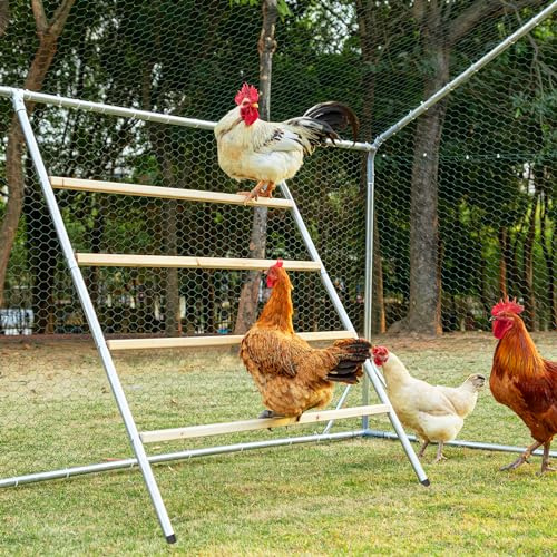 Petsfit Perchoir Carré de Poulet, Parfait pour la Volaille de Basse-Cour, Perch Perroquet Oiseau pour Poulailler, Facile à Assembler & Nettoyer, Jouet de Poulet (140 cm L x 100 cm l)