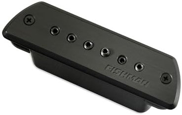 Fishman Blackstack Doppelspule passif pour rosace