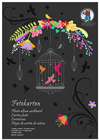 Ursus 3704690SE - Fotokarton-Block Sonderedition, 300 g/qm, DIN A4, 10 Blatt