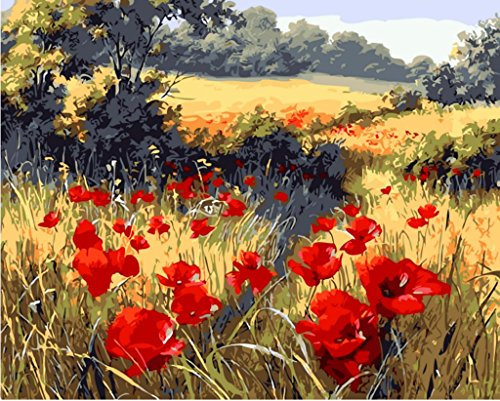 YEESAM ART Peinture Numero avec Toile Tendue sur Cadre Rouge Coquelicot Fleur Jardin, Bricolage Peinture par Numero 40x50cm Numéro d’Art Acrylique Decorative Murale