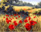 YEESAM ART Peinture Numero avec Toile Tendue sur Cadre Rouge Coquelicot Fleur Jardin, Bricolage Peinture par Numero 40x50cm Numéro d’Art Acrylique Decorative Murale