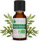 Voshuiles - Huile Essentielle Lentisque Pistachier Bio 5ml - Parfum Chaud - Réputée pour ses Vertus - Huiles Essentielles de Qualité - 100% Pure et Naturelle - HEBBD et Certifiée ECOCERT