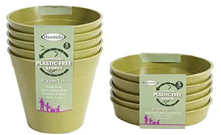 Garden Bamboo Seed Trays Pots & Saucers Sage Green or Terracotta indoor outdoor Greenhouse Compostable Bamboo Fibre Plastic Free 5 Year life (6 Sage Green Flower Pots & Saucers)