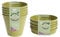 Garden Bamboo Seed Trays Pots & Saucers Sage Green or Terracotta indoor outdoor Greenhouse Compostable Bamboo Fibre Plastic Free 5 Year life (6 Sage Green Flower Pots & Saucers)