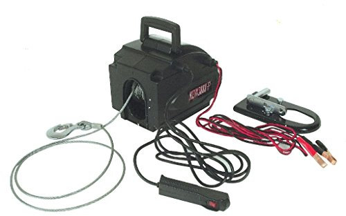 Treuil de traction électrique portable 12 V 500 Kg de force