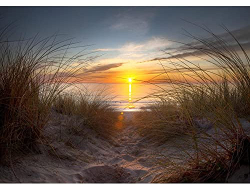 Runa Art Papier Peint panoramique Plage coucher du soleil de la mer 352 x 250 cm Toison Mur XXL Moderne Décoration Murale Salon Chambre á Coucherr Bureau Salle orange bleu 9032011a