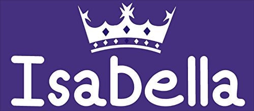 FSSS Ltd ENGRAVED NUMBER PLATE GIRLS PRINCESS FOR PUSH ALONG CAR RIDE ON TOY GIFT TRUCK NAME CHILDREN GIFT (PURPLE)