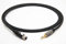 enoaudio Mogami 2893 Quad HiFi Kopfhörer Kabel für AKG usw. | Amphenol Gold 3,5 Miniklinke - Neutrik miniXLR, 5,0 m