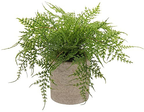 Briful Small Fake Plant Potted Plants Artificial Decor Silk Asparagus Ferns Plant Faux Plants in Pots for Home Living Room Bedroom Desk Bathroom Shelf Farmhouse Decoration