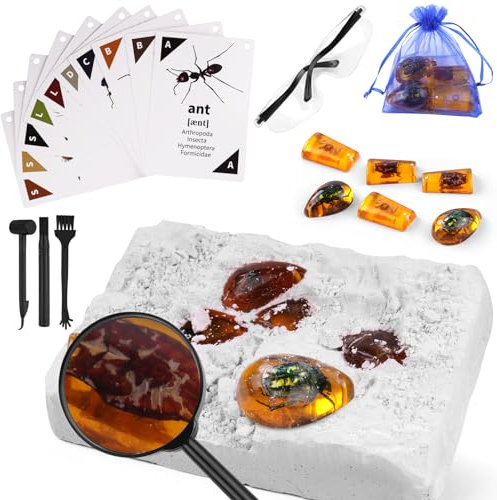 HOTUT Kit di Scavo Fossile Gioco Scientifico, Fossile d'ambra di Insetti con Strumento di Scavo, Lente d'Ingrandimento e Guida allo Studio, Kit per Scavare Gemme Kit Scoperta per Bambini dai 6+ Anni